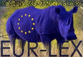 (6) Historical Concepts of EU