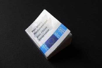 (16) The EU Charter of Fundamental Rights