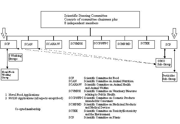 (12) Historical Concepts of EU